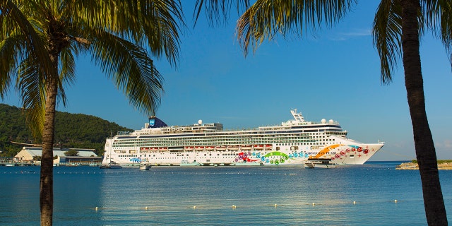 Ahead of Teacher Appreciation Week in May, the cruise line is seeking nominations of educators who are “spreading the joy of learning” in their classrooms.