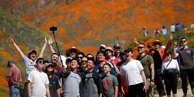People pose for a picture among wildflowers in bloom Monday, March 18, 2019, in Lake Elsinore, Calif.