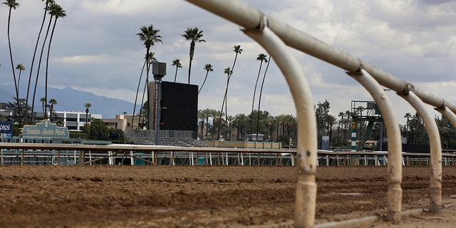 FILE - This March 7, 2019, file photo, shows the empty home stretch at Santa Anita Park in Arcadia, Calif. (AP Photo/Damian Dovarganes, File)