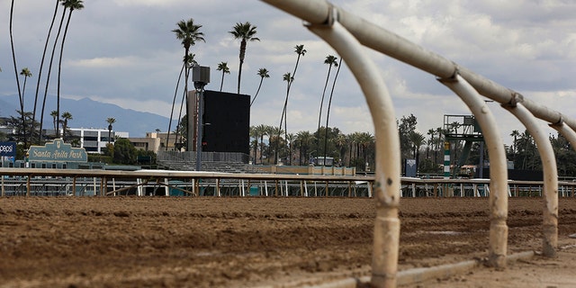 This Mar 7, 2019, record photo, shows a dull home widen during Santa Anita Park in Arcadia, Calif. (AP Photo/Damian Dovarganes, File)