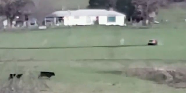 The suspect got into a shootout with police after driving onto a ranch property and getting stuck in a field.