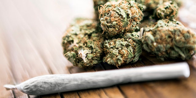 Cannabis sold by street dealers in Spain has been found to be contaminated with feces, according to a study published in the journal Forensic Science International.