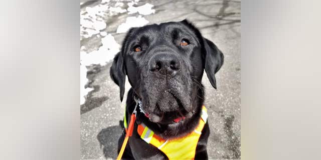 Westley, seen here, will hand the "baton" to Gus, who will finish out the run with Tom.