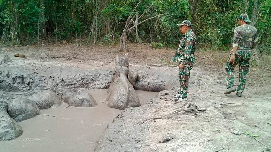 Friday. 8:48 am: Rangers free 6 trapped baby elephants in Thailand