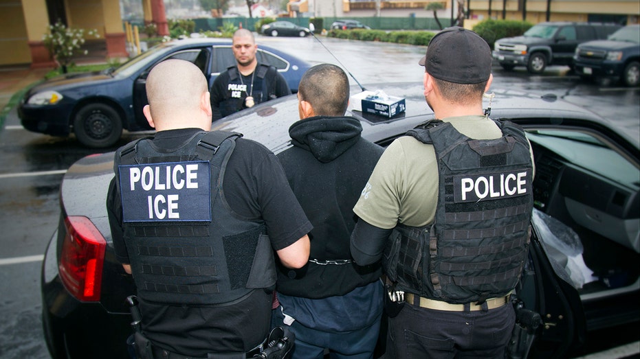 'Law & Order: SVU' features ICE agents obstructing rape case by attempting to arrest witness