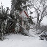 Trees snapped by high winds from a late winter storm cover a house in Washington Park, in Denver, March 13, 2019.
