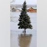 A statue of the Virgin Mary is seen under a tree in the floodwaters of the Platte River in Plattsmouth, Neb., Sunday, March 17, 2019. 