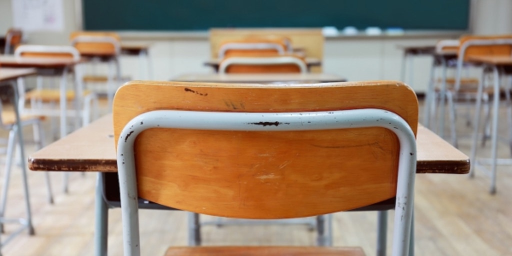 Teacher union contracts aimed to indoctrinate students in 'leftist ideas,' promoted race-based hiring: report - Vimarsana News