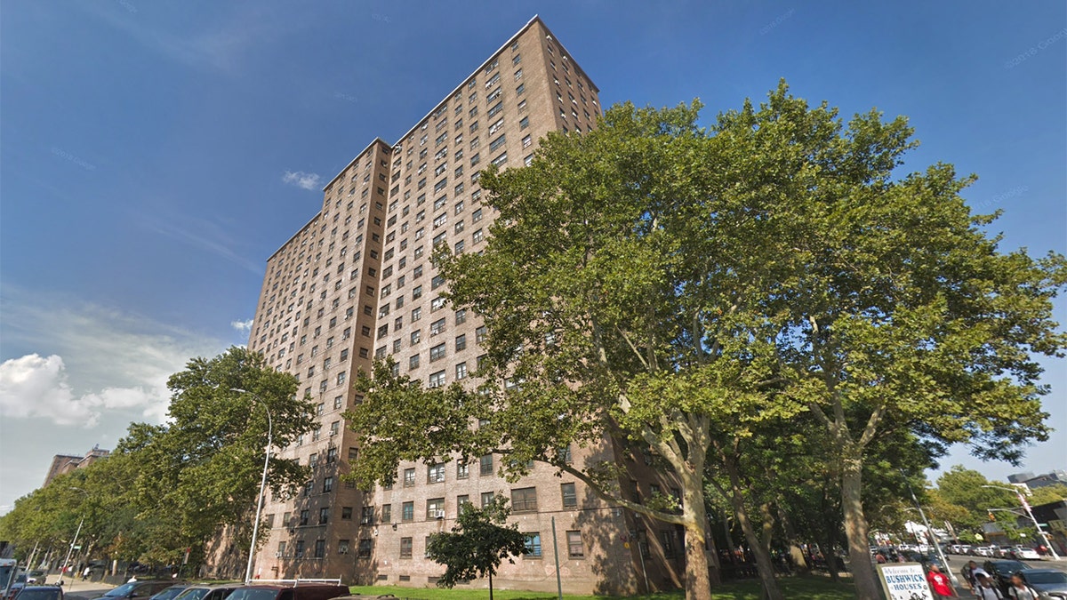 Police found the ax covered in blood and tossed in a trash compactor at the Bushwick Houses, where the attack took place