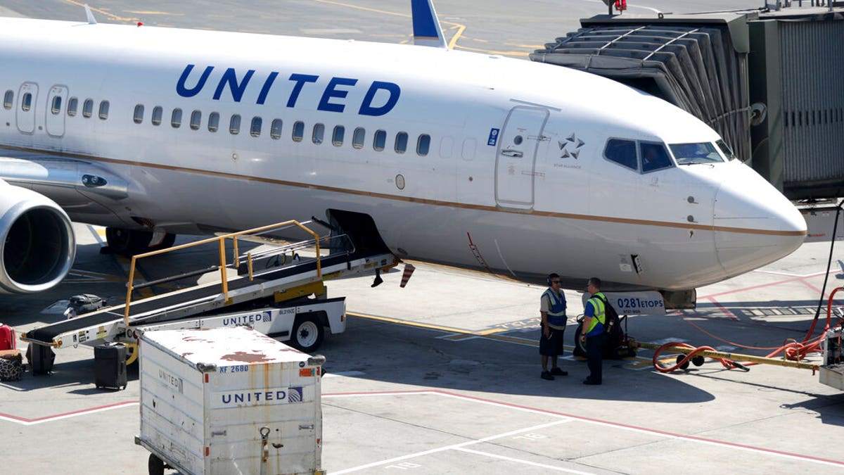 FILE: A United Airlines commercial jet sits at a gate at Terminal C of Newark Liberty International Airport in Newark, N.J.