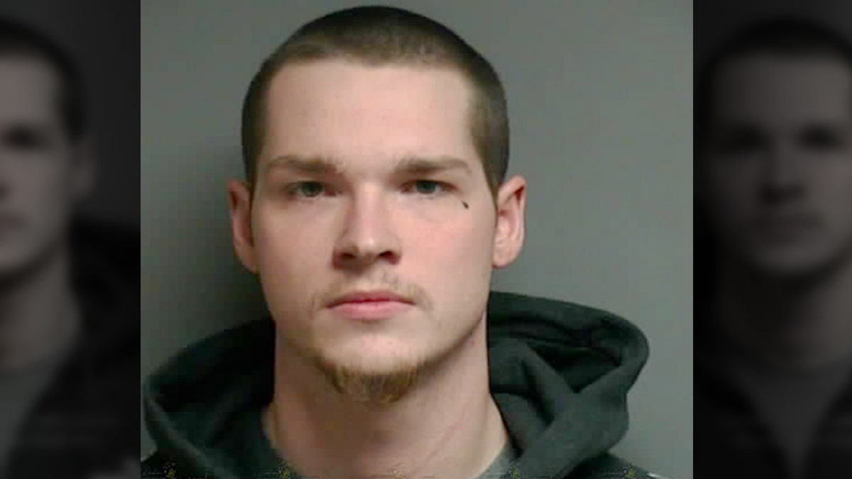 Alexander Gerth, 23, was sentenced to three to six years in prison on Tuesday for brutally stabbing a dog and leaving it to die in a Michigan park in January.