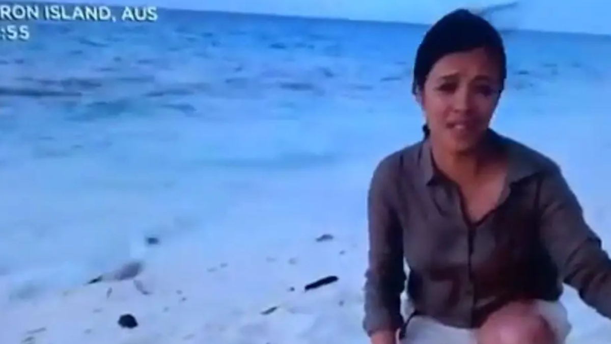 Presenter Liz Bonnin of BBC’s “Blue Planet Live,” was concluding the program when a seagull appeared to eat a baby turtle during a live broadcast.