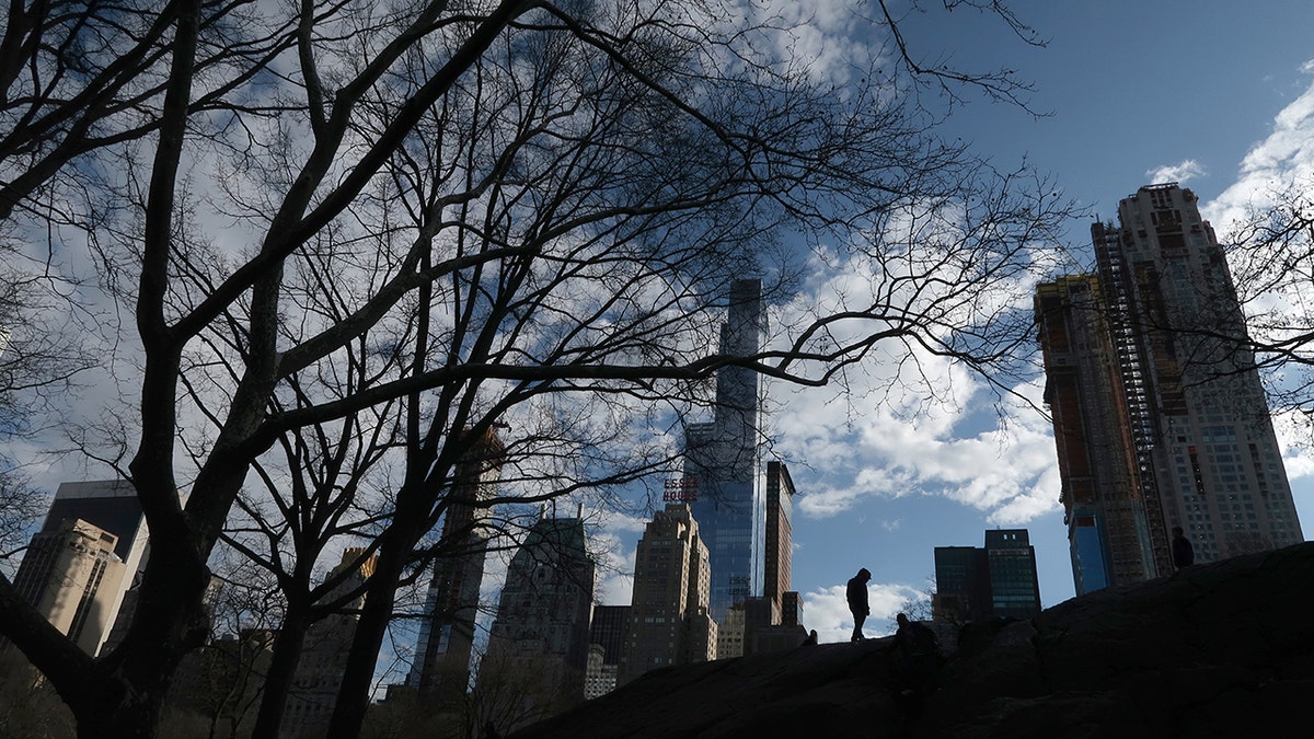 Central Park in front of residential towers under construction along 59th Street on April 4, 2018 in New York City. (Photo by Gary Hershorn/Getty Images)