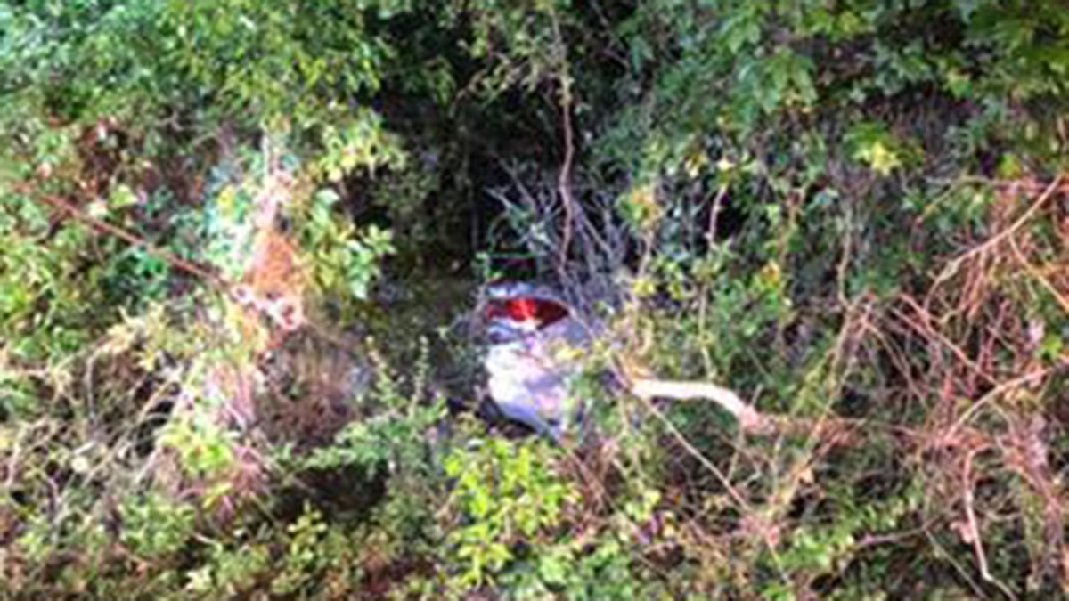 Chris Miracle, 26, saw flashing lights early Wednesday morning when he was driving his tow truck. When he stopped and investigated the volunteer firefighter found a 77-year-old woman trapped in her vehicle going into a creek.