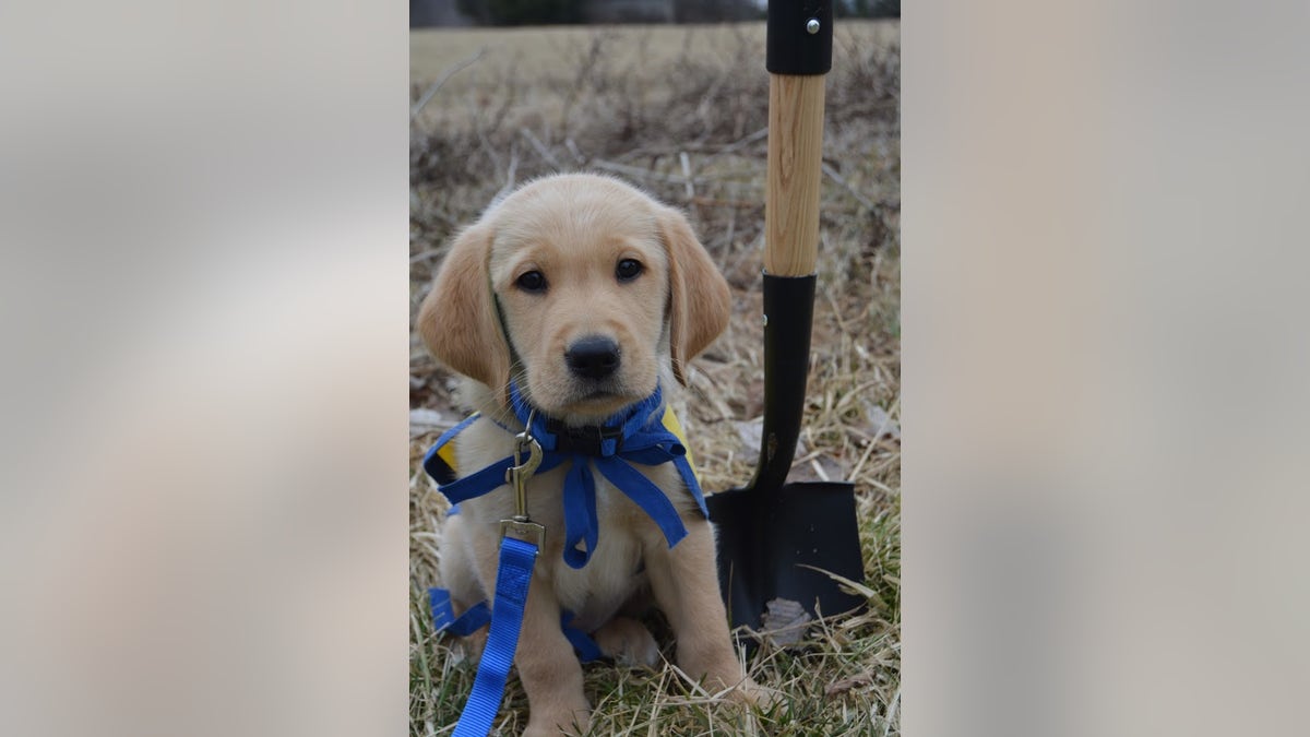 A new CCI facility in New Albany, Ohio, will include dorms where the graduates can stay while they learn how to work with their new service dogs.