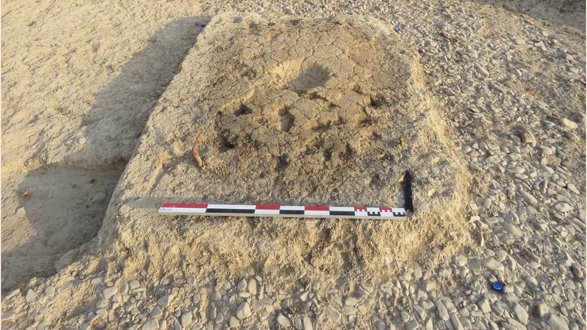 The small cup-shaped indents in this structure may have served a ceremonial purpose, according to archaeologists. (D. Sarmiento Castillo / Mission archéologique française du Peramagron)