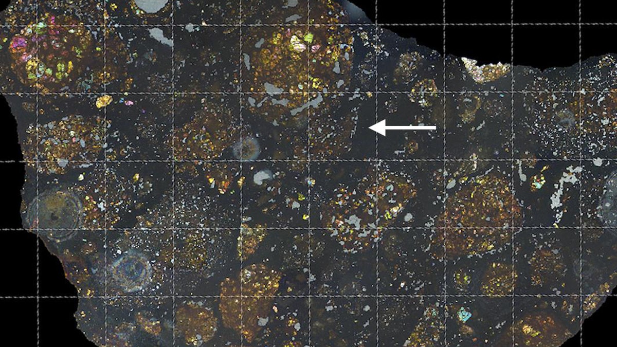 The arrow in this view of the LaPaz meteorite points to where the scientists found the carbon-rich cometary fragment. The colors are produced by polarized light shining through a thin slice of the meteorite; the grid lines are spaced one millimeter apart. (Credit: Carles Moyano-Cambero/Institute of Space Sciences, Barcelona)