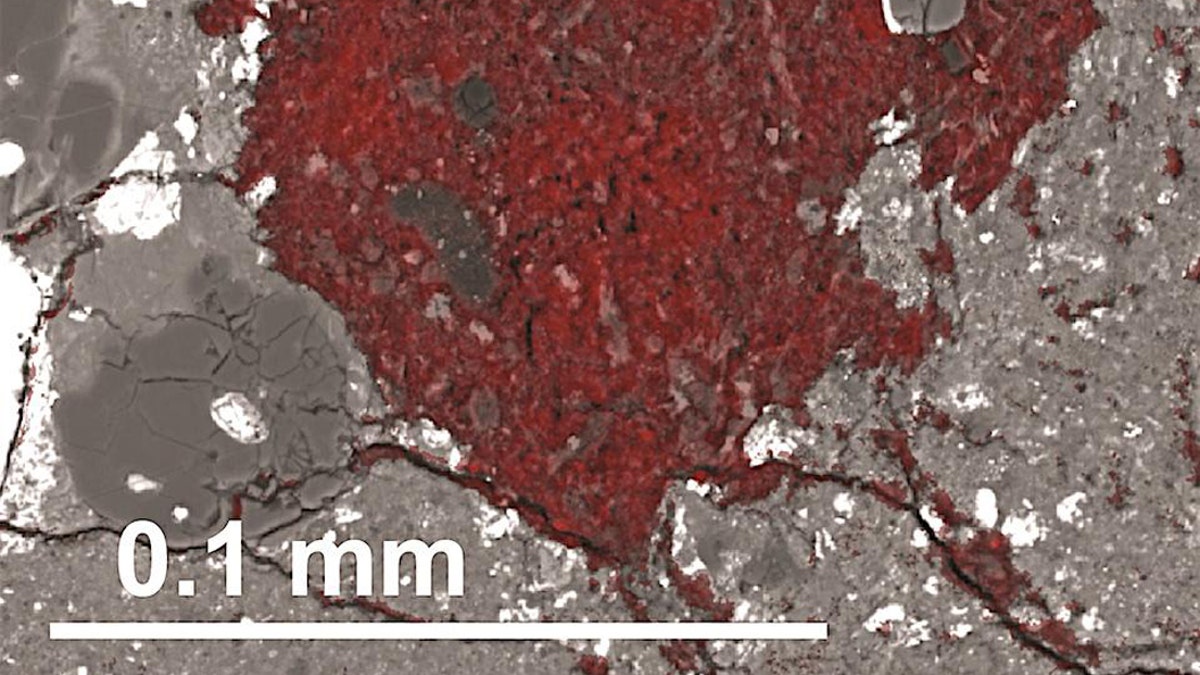 The carbon-rich fragment the material comets are built from is colored red in this scanning electron microscope image. The scale bar shows its size. (Credit: Larry Nittler/Carnegie Institution for Science)