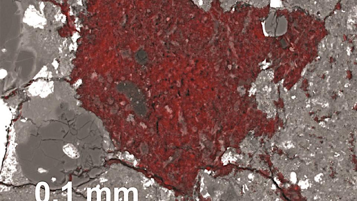 The carbon-rich fragment the material comets are built from is colored red in this scanning electron microscope image. The scale bar shows its size. (Credit: Larry Nittler/Carnegie Institution for Science)
