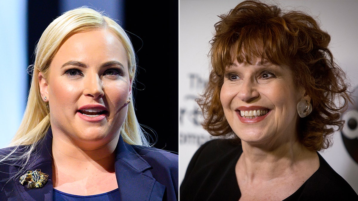 Meghan McCain and Joy Behar regularly clashed.