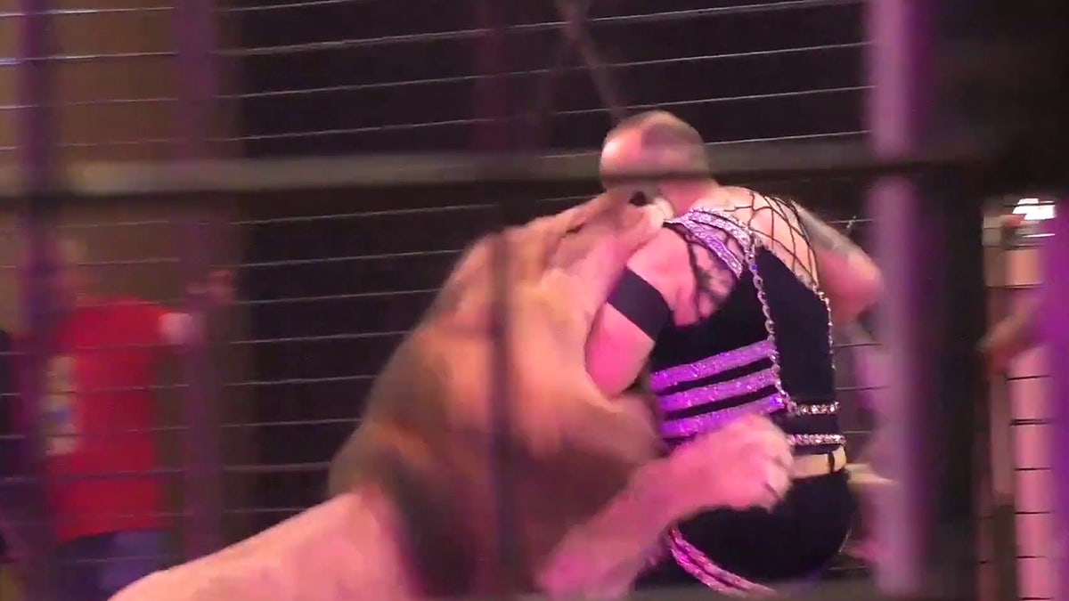A lion attacks at the Lugansk circus.