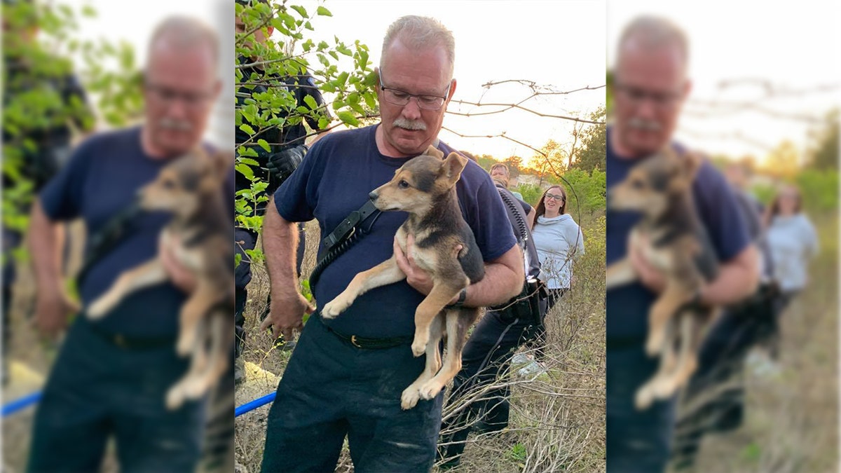 Capt. Paul Bryant adopted the puppy he'd rescued the week before.