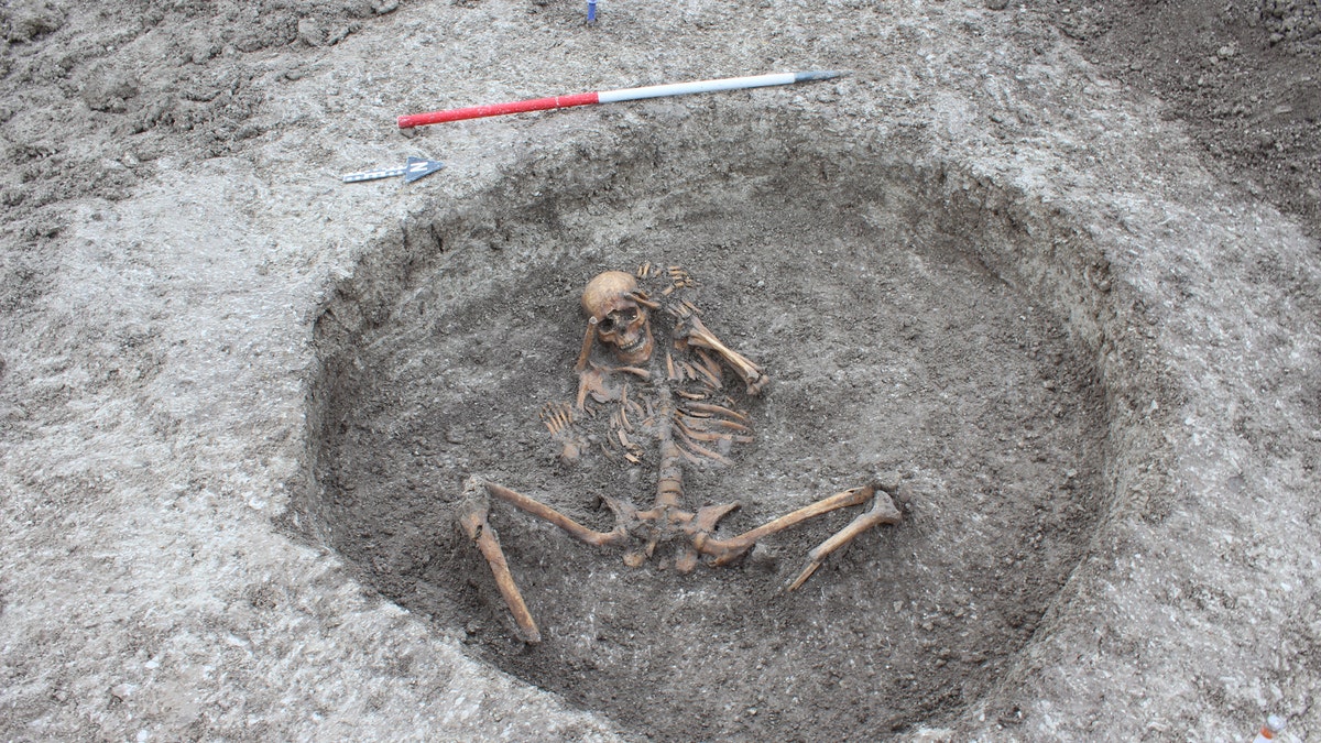 A female skeleton was found with the feet cut off and placed by her side with arms bound behind her head. (Thames Water)