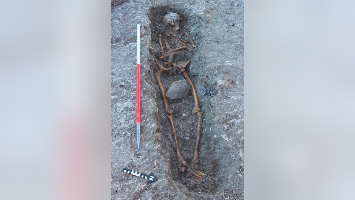 One of the skeletons uncovered at the site. (Thames Water)