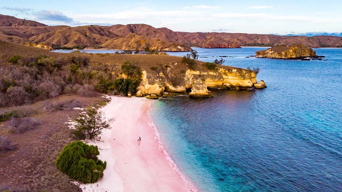 A shot of a litter-free Pink Beach in Komodo National Park, Indonesia. 