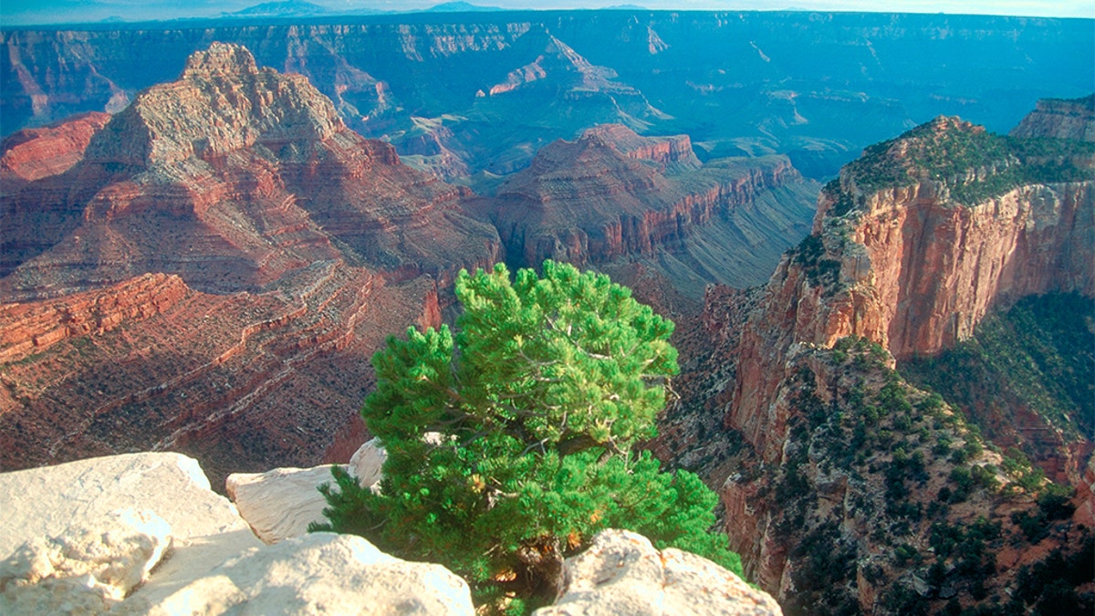 Authorities say another visitor has died after falling from the edge of the Grand Canyon. (MyLoupe/UIG via Getty Images)