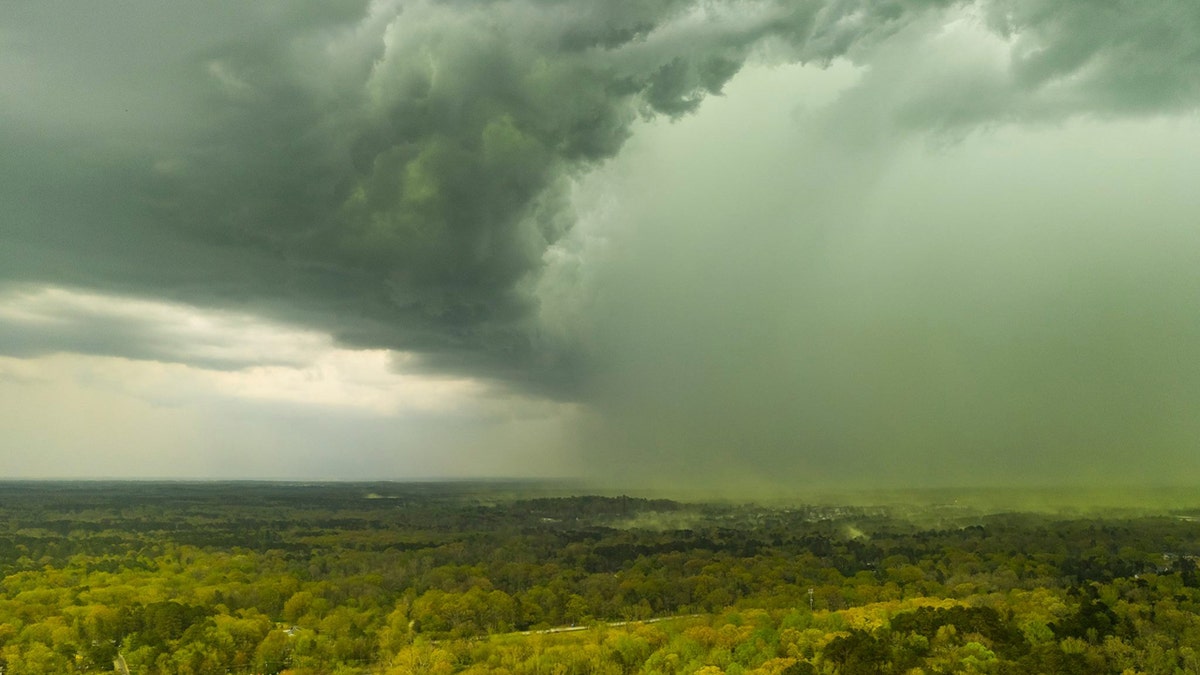 Pollen levels returned to "very high" after the storms, and are expected to stay that way through the weekend.