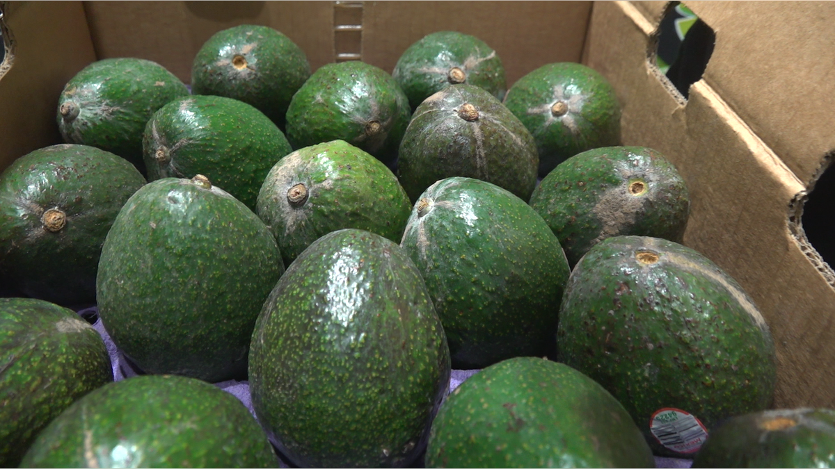 “It's going to be felt at the grocery stores when we start paying more for limes and our avocados at the grocery store,” Contreras said.