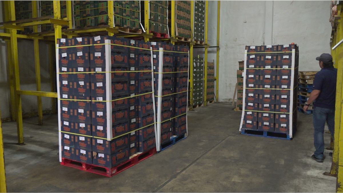 Knight said his fridge warehouse is almost always full, even with the floor covered in pallets. It hasn’t been like that recently, as floors have been bare and some parts of the facility has been empty.