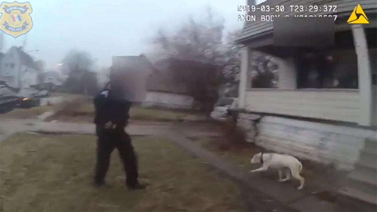 The graphic video shows the dog hanging over the side of the two-story house.