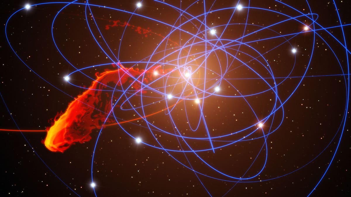 cbb49036-