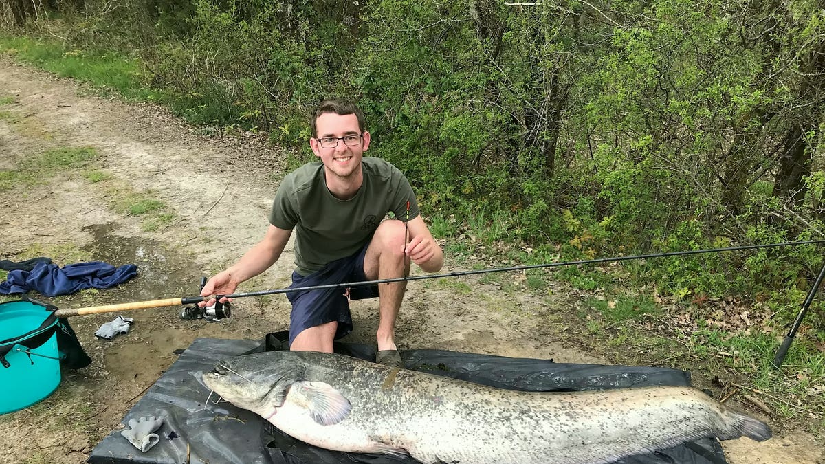 Fisherman reels in 102-pound catfish with rod 'not suited for this fish