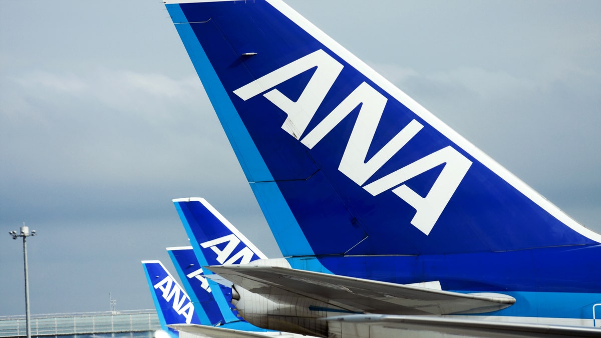 All Nippon Airways has completed a test flight of a new wide-body aircraft with its arrival in Hawaii.