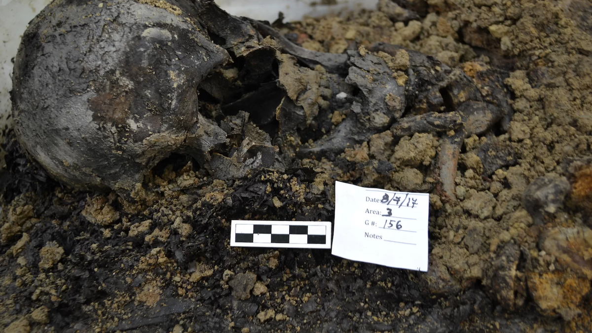 A skull found at the First Baptist Church of Philadelphia's burial ground. Credit: Allison Grunwald