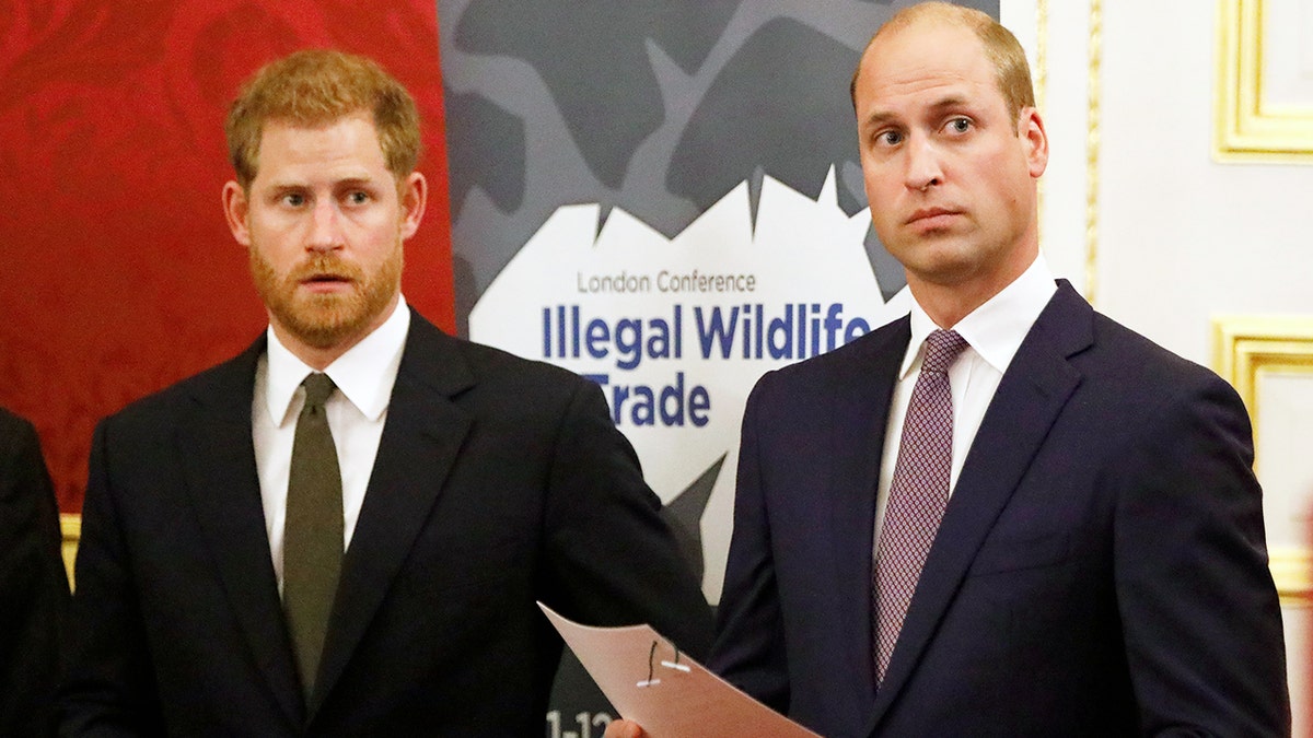 Britain's Prince William, Duke of Cambridge (R) and Britain's Prince Harry, Duke of Sussex, host a reception to officially open the 2018 Illegal Wildlife Trade Conference at St James' Palace in London on October 10, 2018. - The 2018 Illegal Wildlife Trade Conference is the fourth such international conference bringing together heads of state, ministers and officials from nearly 80 countries, alongside NGOs, academics and businesses, to build on previous efforts to tackle this lucrative criminal trade. The conference is being hosted by the UK Government from 11th 12th October 2018. (Photo by Tolga AKMEN / various sources / AFP) (Photo credit should read TOLGA AKMEN/AFP/Getty Images)