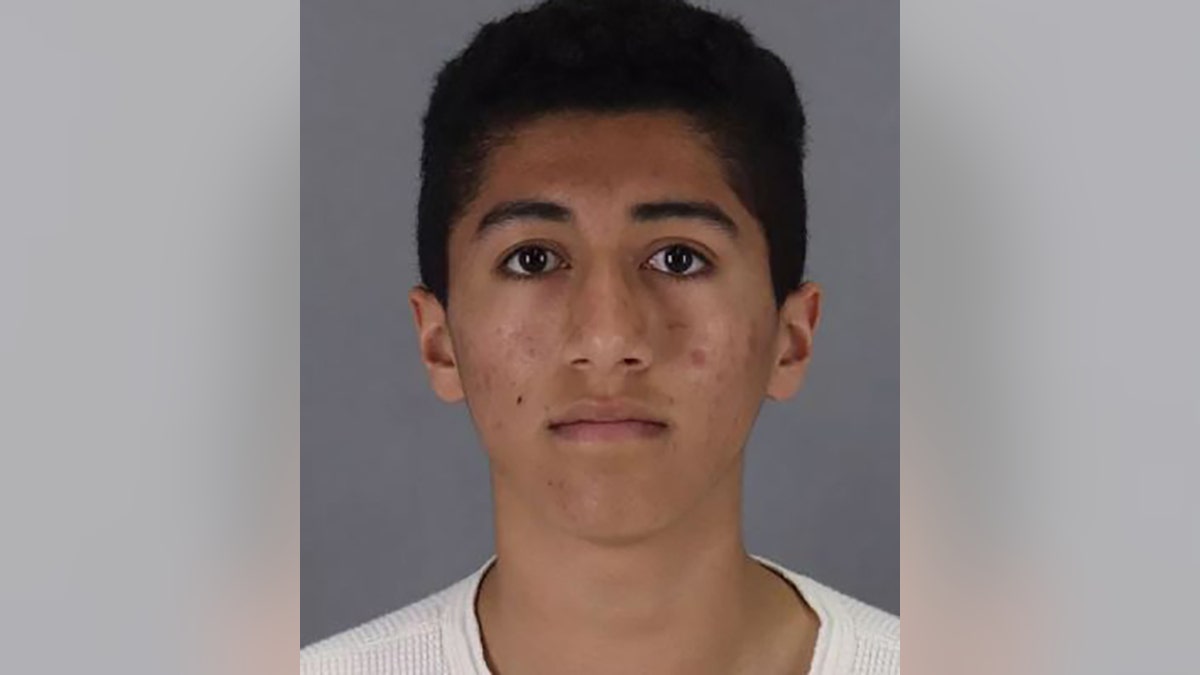 Tavi Benelli, 18, was arrested on Monday for allegedly committing lewd acts and taking inappropriate photos of a seven-year-old girl at an indoor bounce house in California, authorities said.
