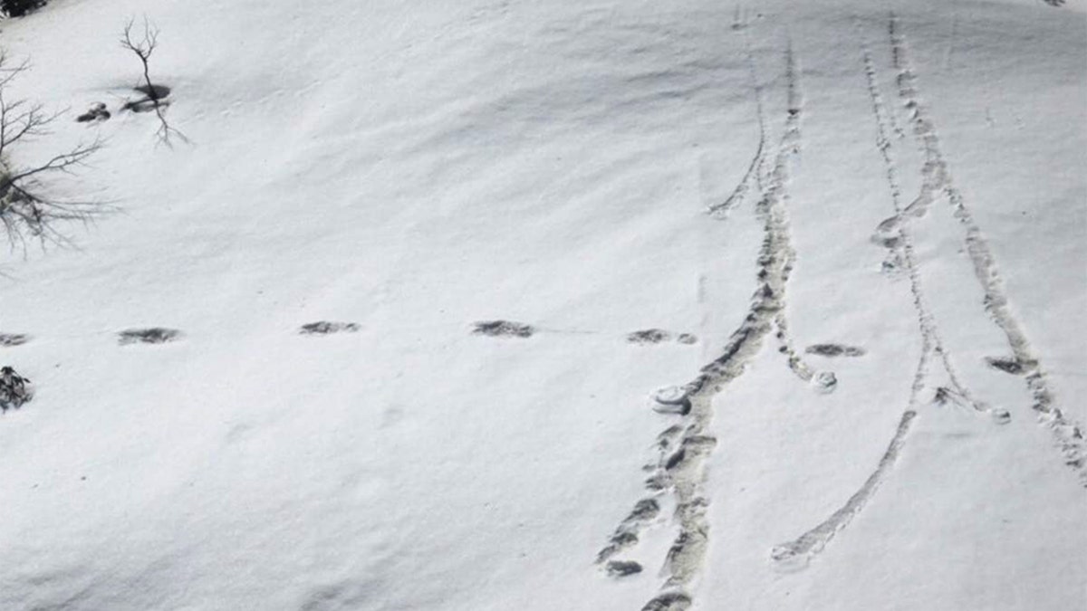 File footprints in snow