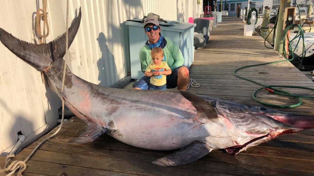 757-pound swordfish caught near Florida Keys | Fox News