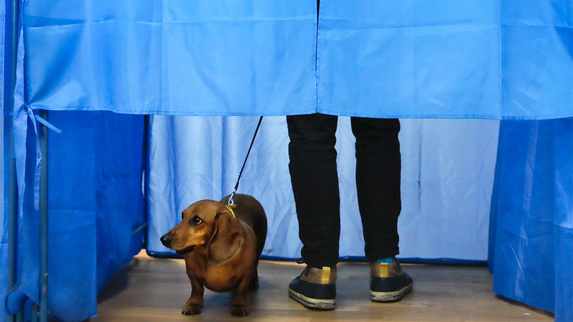 A dog looks out of a voting cabin as a man casts his vote during the second round of presidential elections in Kiev, Ukraine, April 21, 2019. 