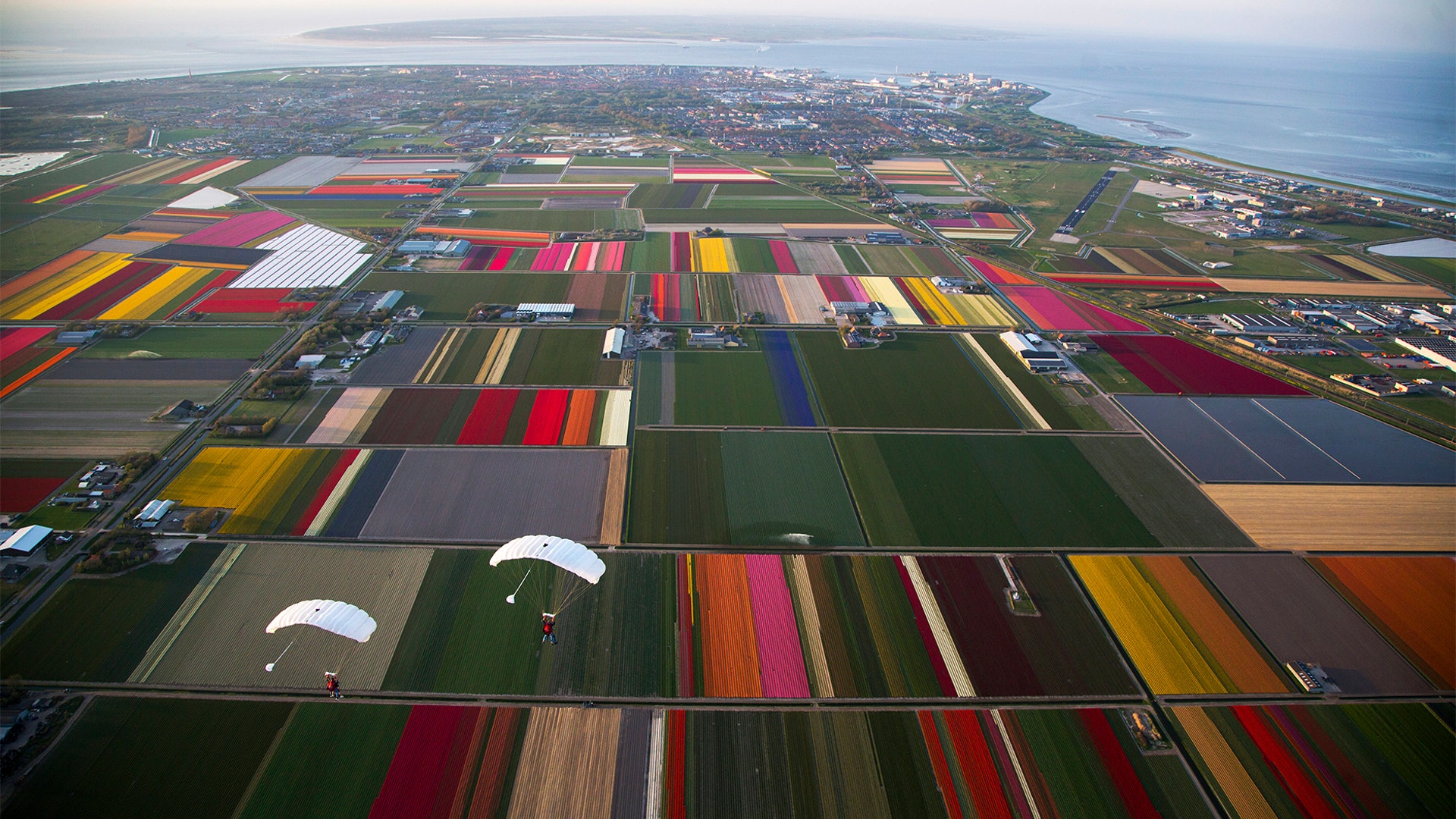 Two parachutists fly over blossoming flower fields near Den Helder, northern Netherlands, April 22, 2019. 