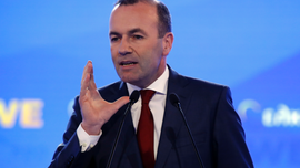 Germany's Weber urges Britain not to take part in EU vote