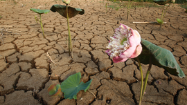 Cambodian schools shorten hours to cope with heat wave