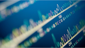 Nearly 30 people learn they're siblings fathered by same sperm donor: report