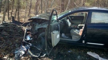 Woman crashes car and injures leg after spotting spider in driver’s area, police say