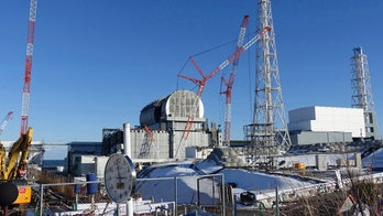 Fukushima plant operator begins removing fuel from melted reactor