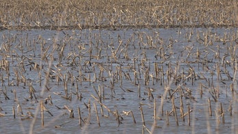 Historic floods in the Midwest have farmers worried about their future